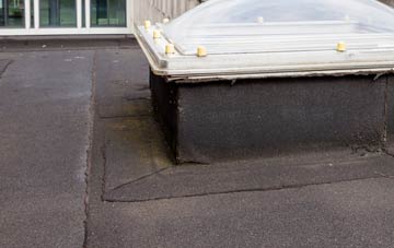 disadvantages of Butteriss Gate flat roofs