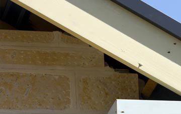 soffit repair Butteriss Gate